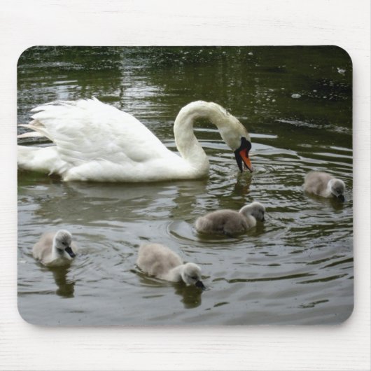 Swan Lake - Mousepad Muismat (Voorkant)