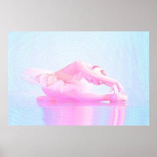 Swan Lake Poster (Voorkant)