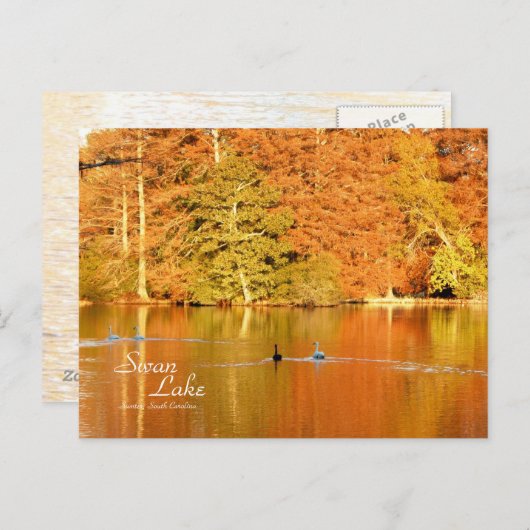 Swan Lake, Sumter SC Briefkaart (Voorkant / Achterkant)