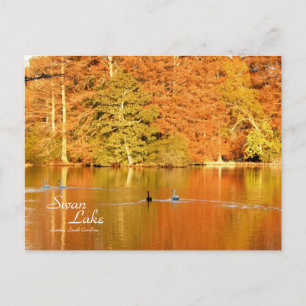 Swan Lake, Sumter SC Briefkaart