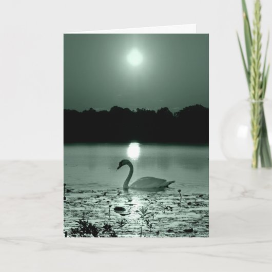 Swan Lake Sympathia Card Blank binnenin Kaart (Voorkant)