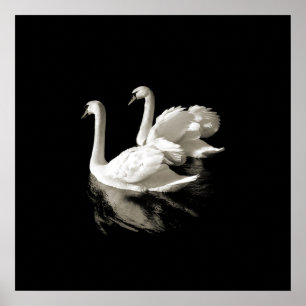 Swan Lake - Zwart-wit poster