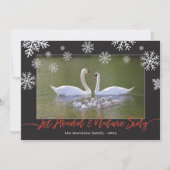 Swan Let Heaven & Natuur Sing (Voorkant)