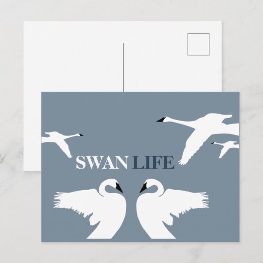 Swan Life, Elegant Swan Briefkaart (Voorkant / Achterkant)