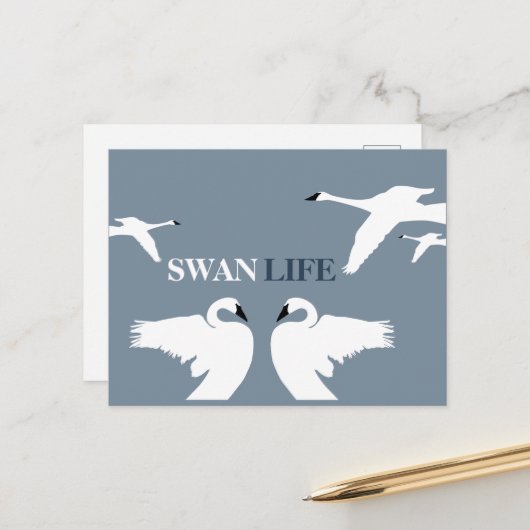 Swan Life, Elegant Swan Briefkaart (Voorkant / Achterkant in situ)