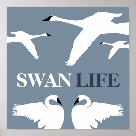 Swan Life, Elegant Swan Poster (Voorkant)