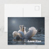Swan-Love- Briefkaart (Voorkant / Achterkant)