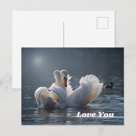 Swan-Love- Briefkaart (Voorkant / Achterkant)