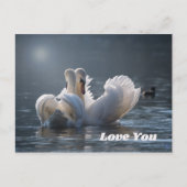 Swan-Love- Briefkaart (Voorkant)