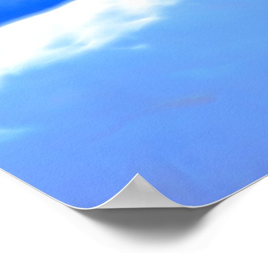 Swan Love, Romantic Heart Shaped Necks Poster (Hoek)