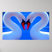 Swan Love, Romantic Heart Shaped Necks Poster (Voorkant)