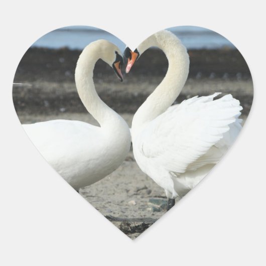 Swan Love Stickers (Voorkant)