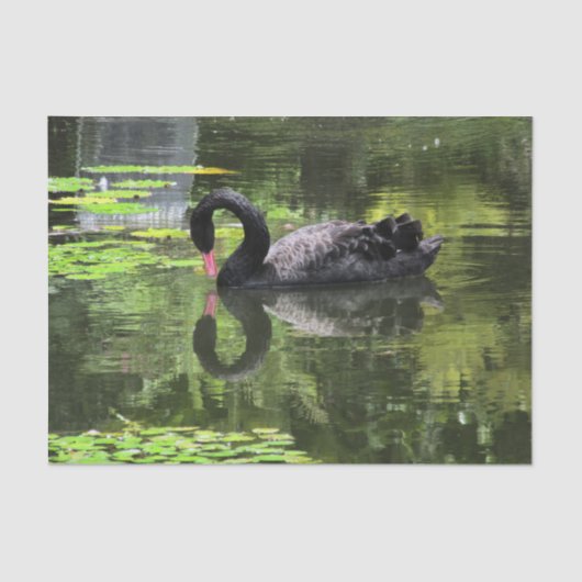 Swan Love Tissuepapier (Voorkant)