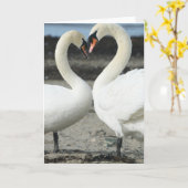 Swan Love Wenskaart Kaart (Gele Bloem)