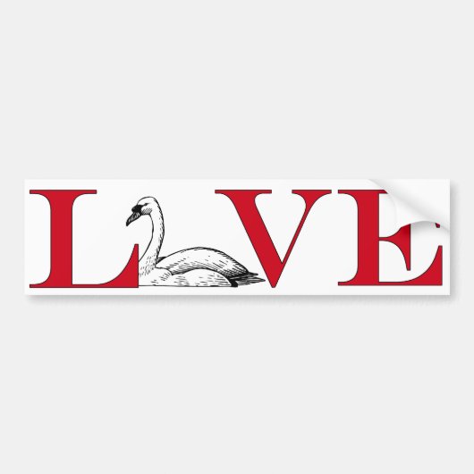 Swan Lover Bumpersticker (Voorkant)