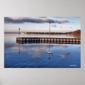 Swan Madison Wisconsin Poster (Voorkant)