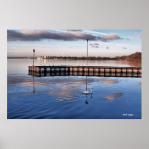 Swan Madison Wisconsin Poster