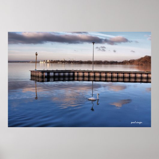 Swan Madison Wisconsin Poster (Voorkant)