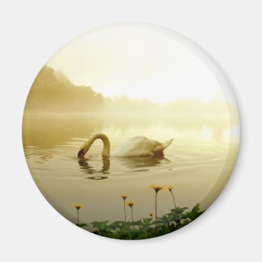 Swan Magneet (Voorkant)