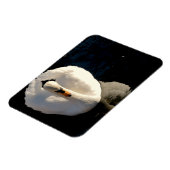 Swan Magneet (Linkerzijde)