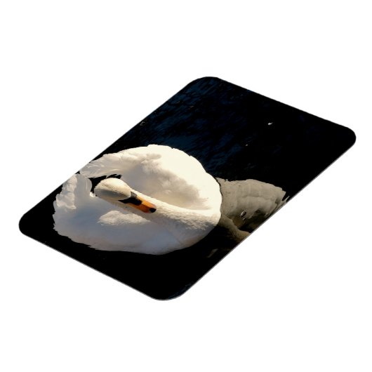 Swan Magneet (Linkerzijde)