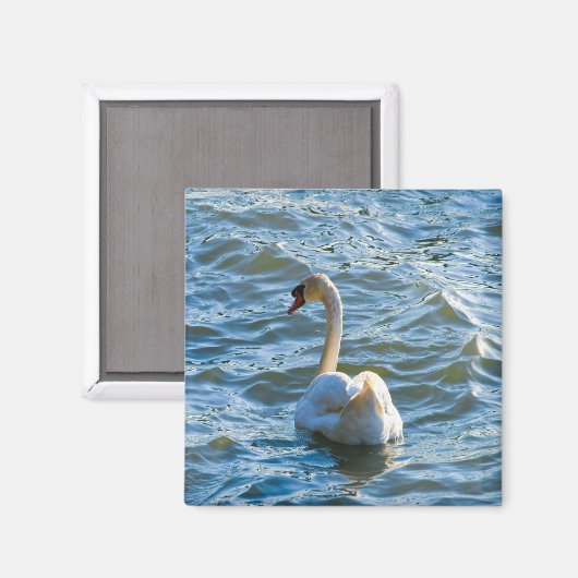Swan Magneet (Voorkant / Achterkant)