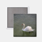 Swan Magnet (Voorkant / Achterkant)