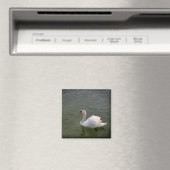 Swan Magnet (Insitu (Vaatwasser))