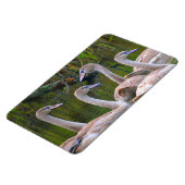 Swan Magnet Magneet (Linkerzijde)