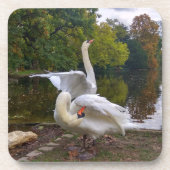 Swan-meer Bier Onderzetter (Voorkant)