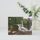 Swan-meer Briefkaart (Staand voorkant)