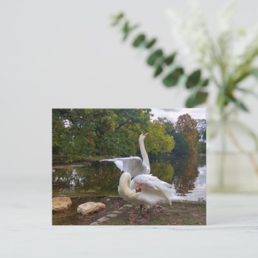 Swan-meer Briefkaart (Staand voorkant)
