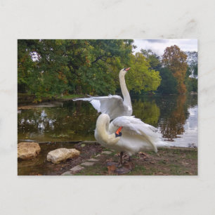 Swan-meer Briefkaart