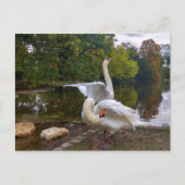 Swan-meer Briefkaart (Voorkant)