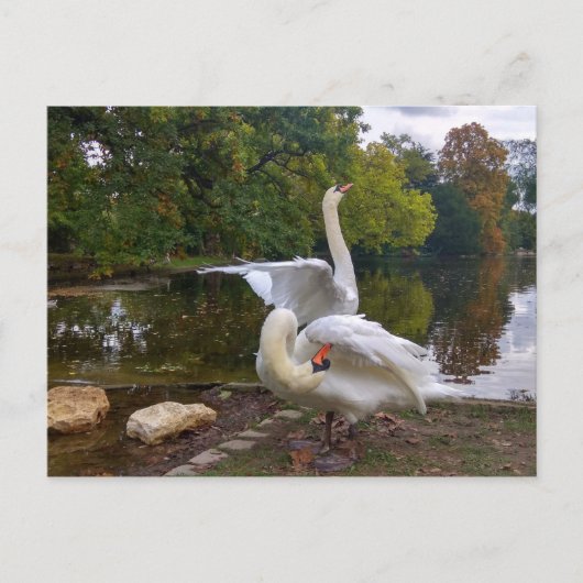 Swan-meer Briefkaart (Voorkant)
