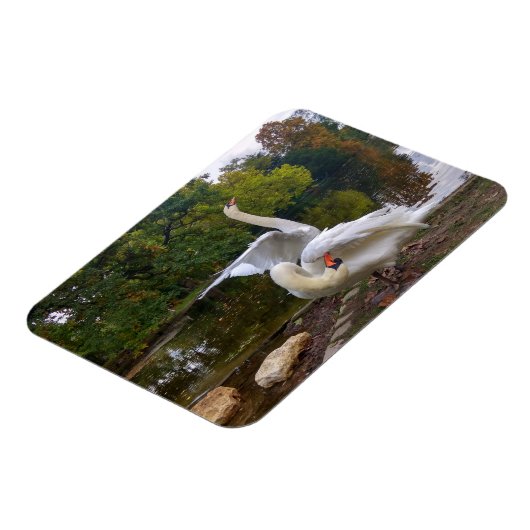 Swan-meer Magneet (Linkerzijde)