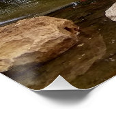 Swan-meer Perfect Poster (Hoek)