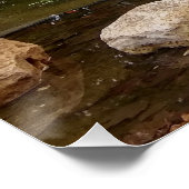 Swan-meer Perfect Poster (Hoek)