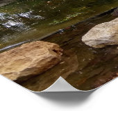 Swan-meer Poster (Hoek)