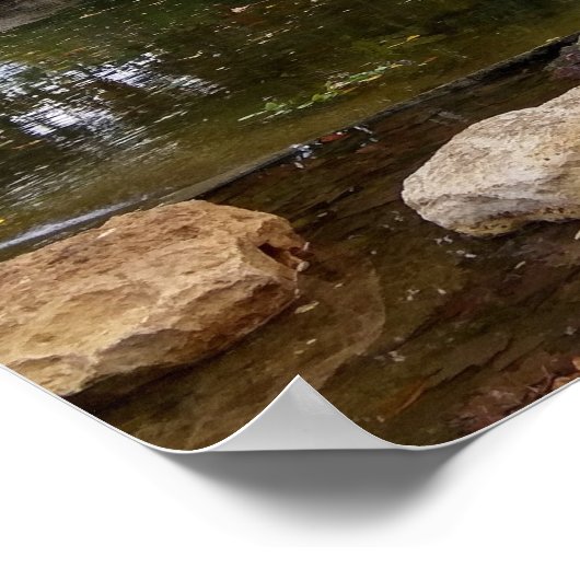 Swan-meer Poster (Hoek)