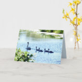 Swan met cygnets op de rivier kaart (Gele Bloem)