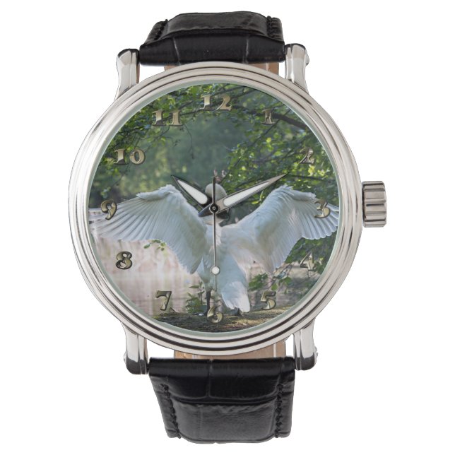 Swan met Wings Spread Horloge (Voorkant)