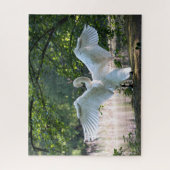 Swan met Wings Spread Legpuzzel (Verticaal)