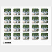 Swan met Wings Spread Vierkante Sticker (Vel)