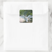 Swan met Wings Spread Vierkante Sticker (Tas)