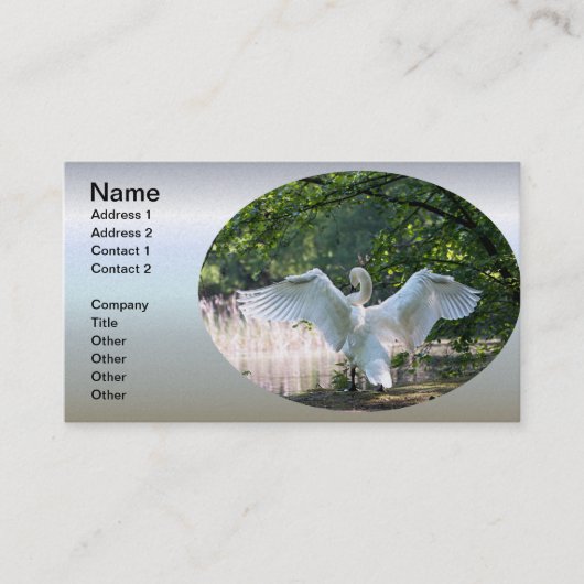 Swan met Wings Spread Visitekaartje (Voorkant)