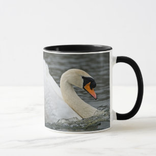Swan Mok