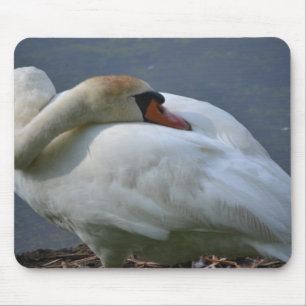 Swan Muismat