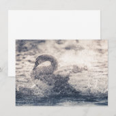 Swan Natuur-fotokaart (Voorkant / Achterkant)