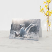 Swan Natuur-fotokaart Kaart (Gele Bloem)